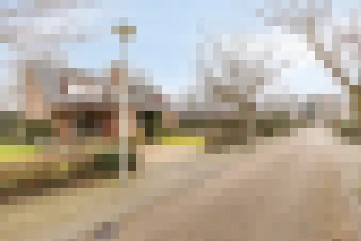 Grote Hazelaar 14 Bergen op Zoom thumbnail 5