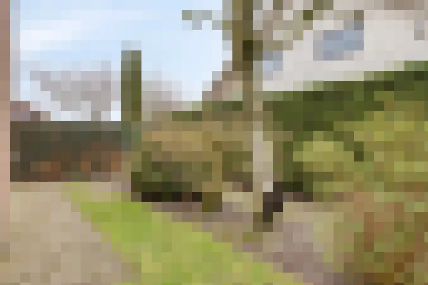 Grote Hazelaar 14 Bergen op Zoom thumbnail 57