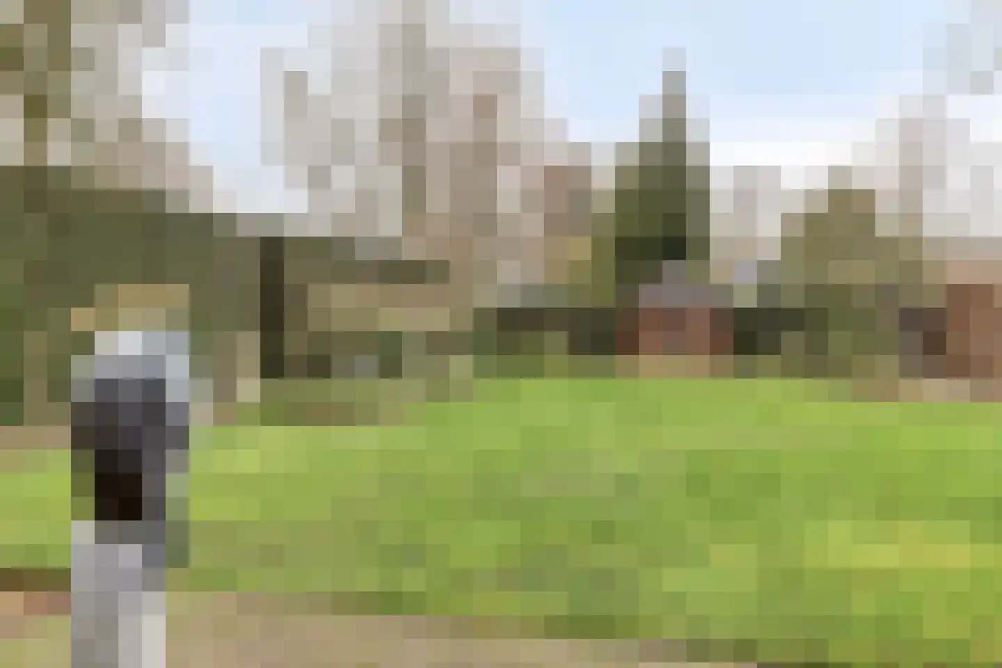 Grote Hazelaar 14 Bergen op Zoom thumbnail 58