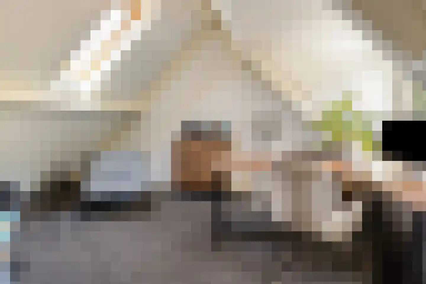Grote Heiakker 27 Nuenen thumbnail 20
