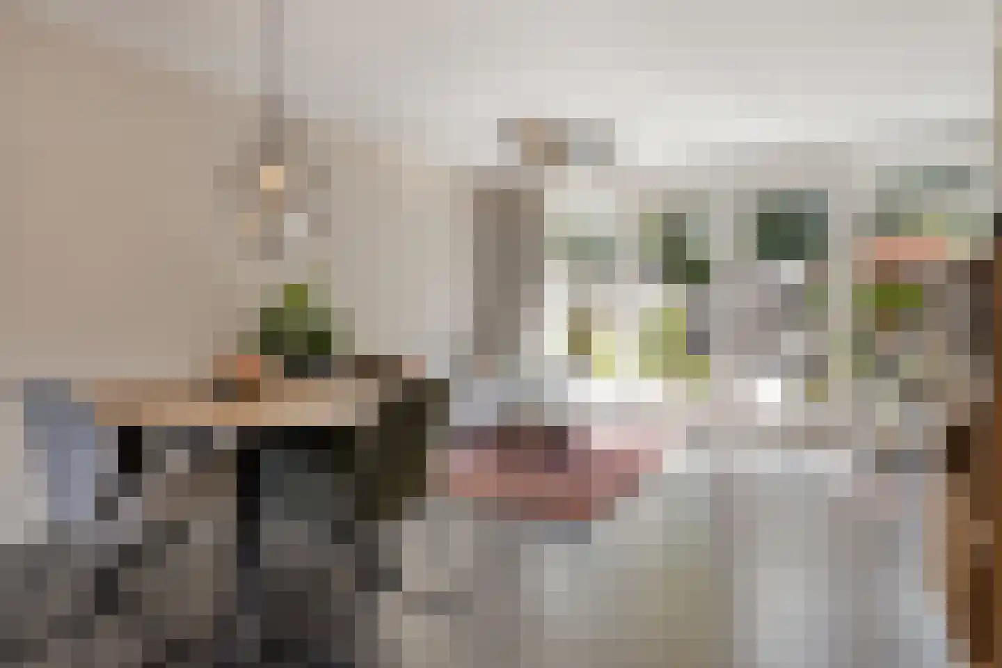 Grote Heiakker 27 Nuenen thumbnail 6
