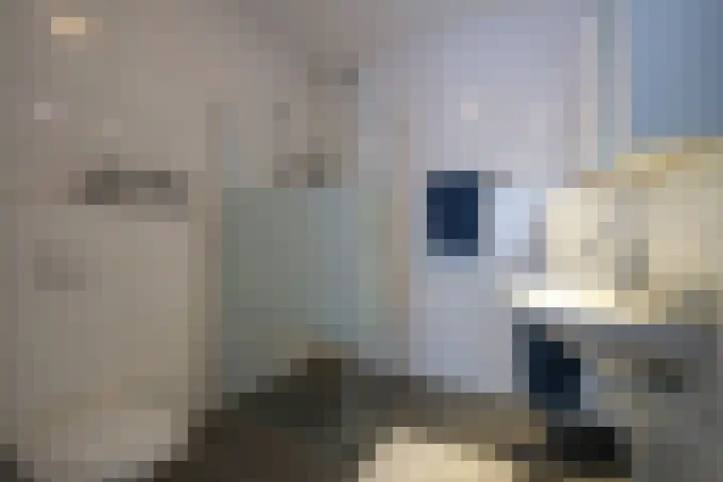 Grote Hoorn 20 Marum thumbnail 17