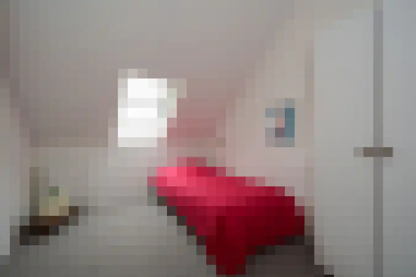Grote Hoorn 20 Marum thumbnail 31