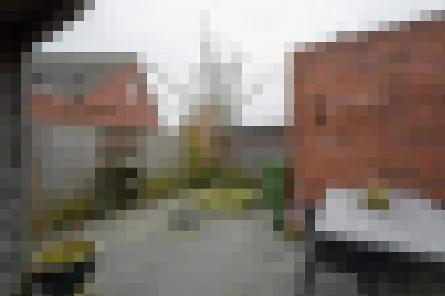 Grote Hoorn 20 Marum thumbnail 39