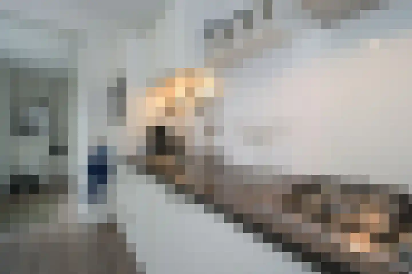 Grote Hoorn 20 Marum thumbnail 9