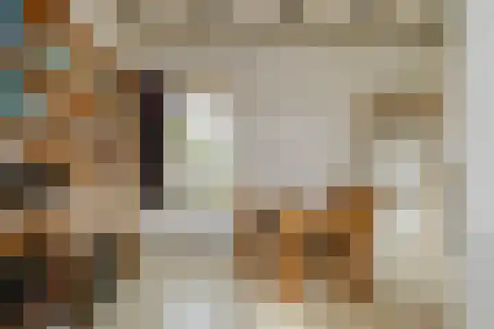 Grote Hout- of Koningsweg 128 Velsen-Noord thumbnail 10