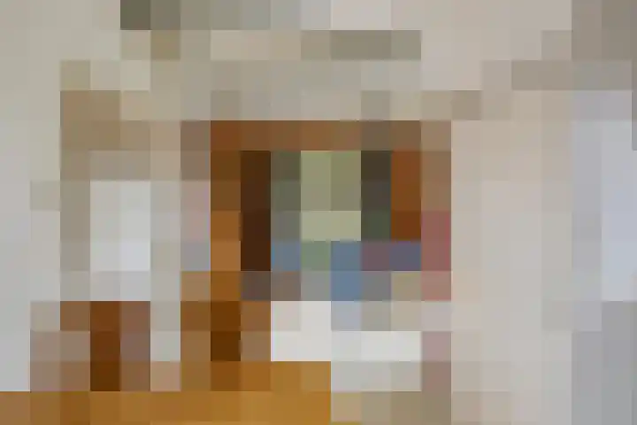 Grote Hout- of Koningsweg 128 Velsen-Noord thumbnail 11