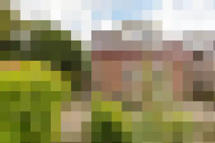 Grote Hout- of Koningsweg 128 Velsen-Noord thumbnail 23