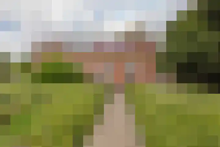 Grote Hout- of Koningsweg 128 Velsen-Noord thumbnail 5
