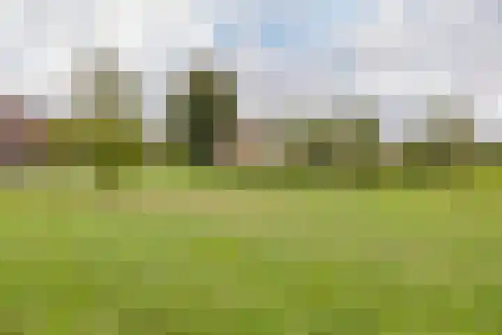 Grote Hout- of Koningsweg 128 Velsen-Noord thumbnail 6