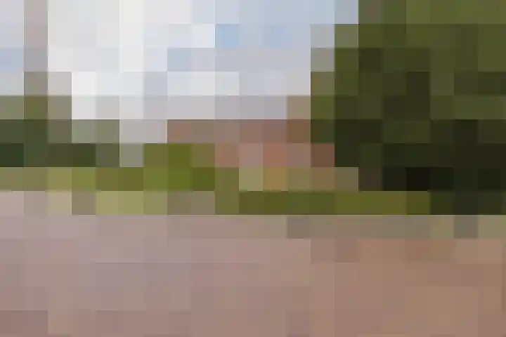 Grote Hout- of Koningsweg 128 Velsen-Noord thumbnail 7