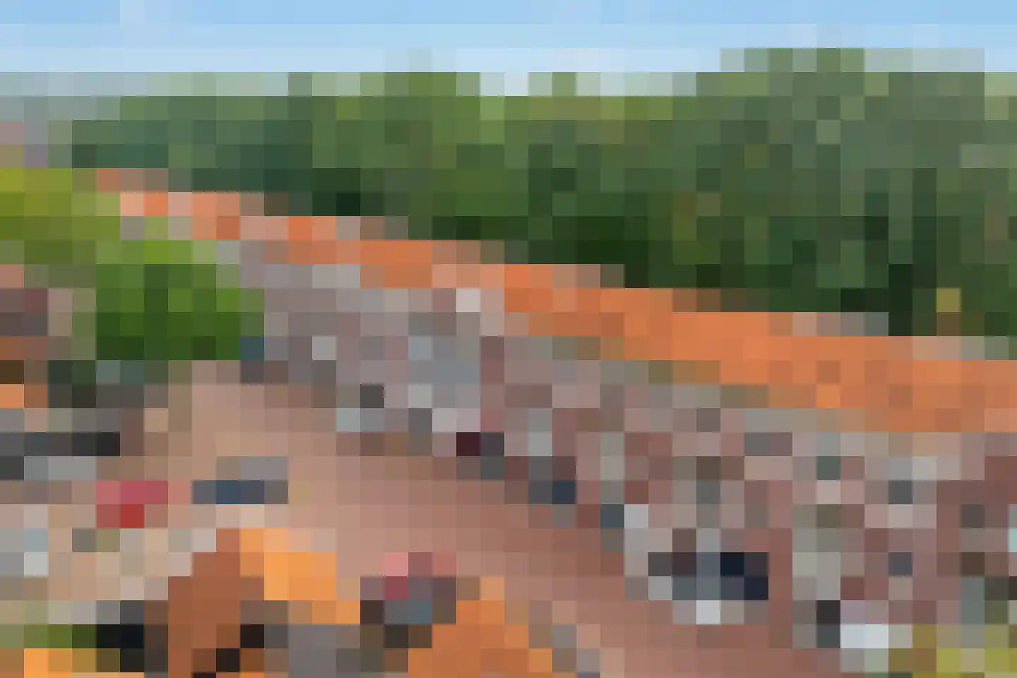 Grote Houtplein 12 Ede thumbnail 46