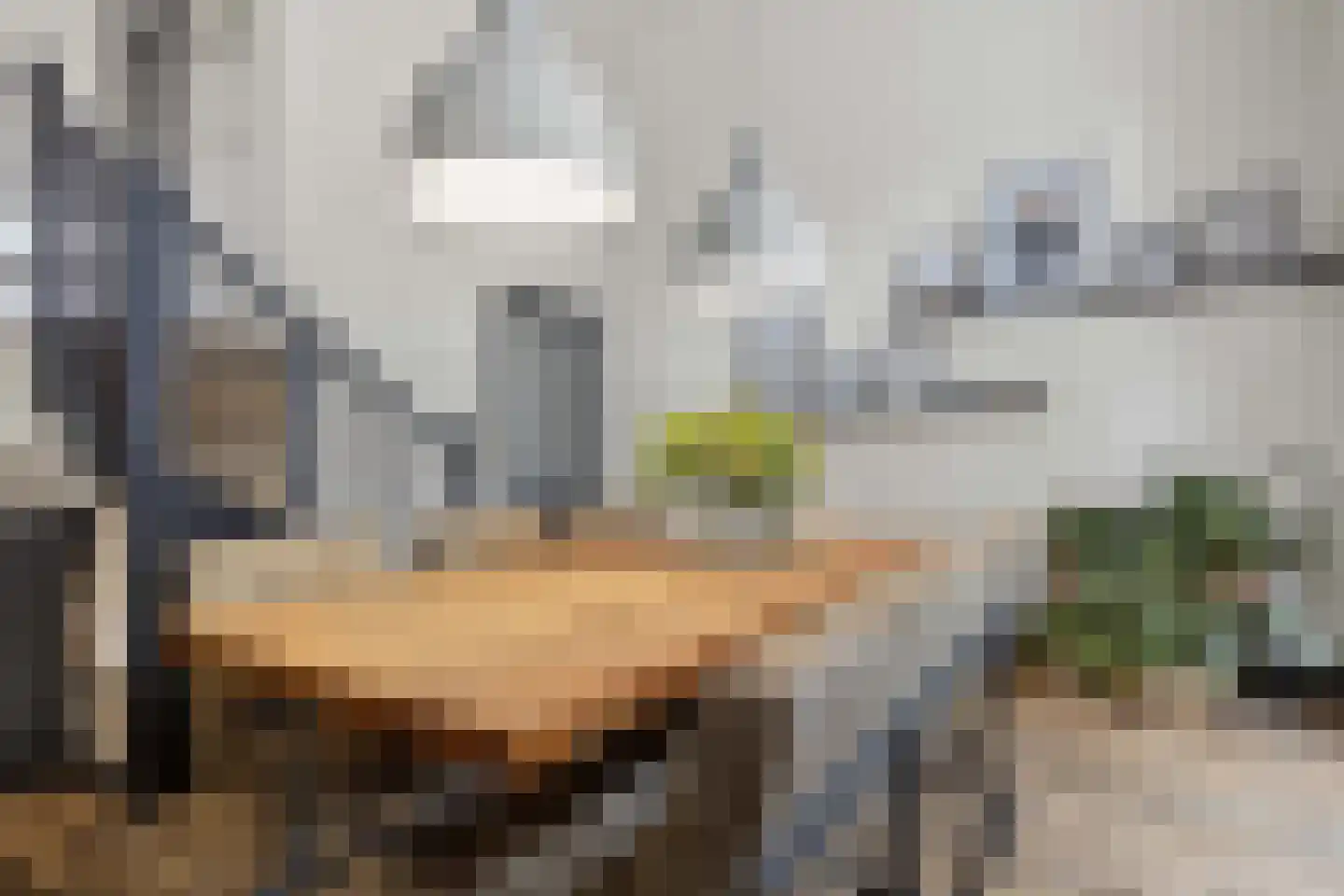 Grote Houtplein 12 Ede thumbnail 6
