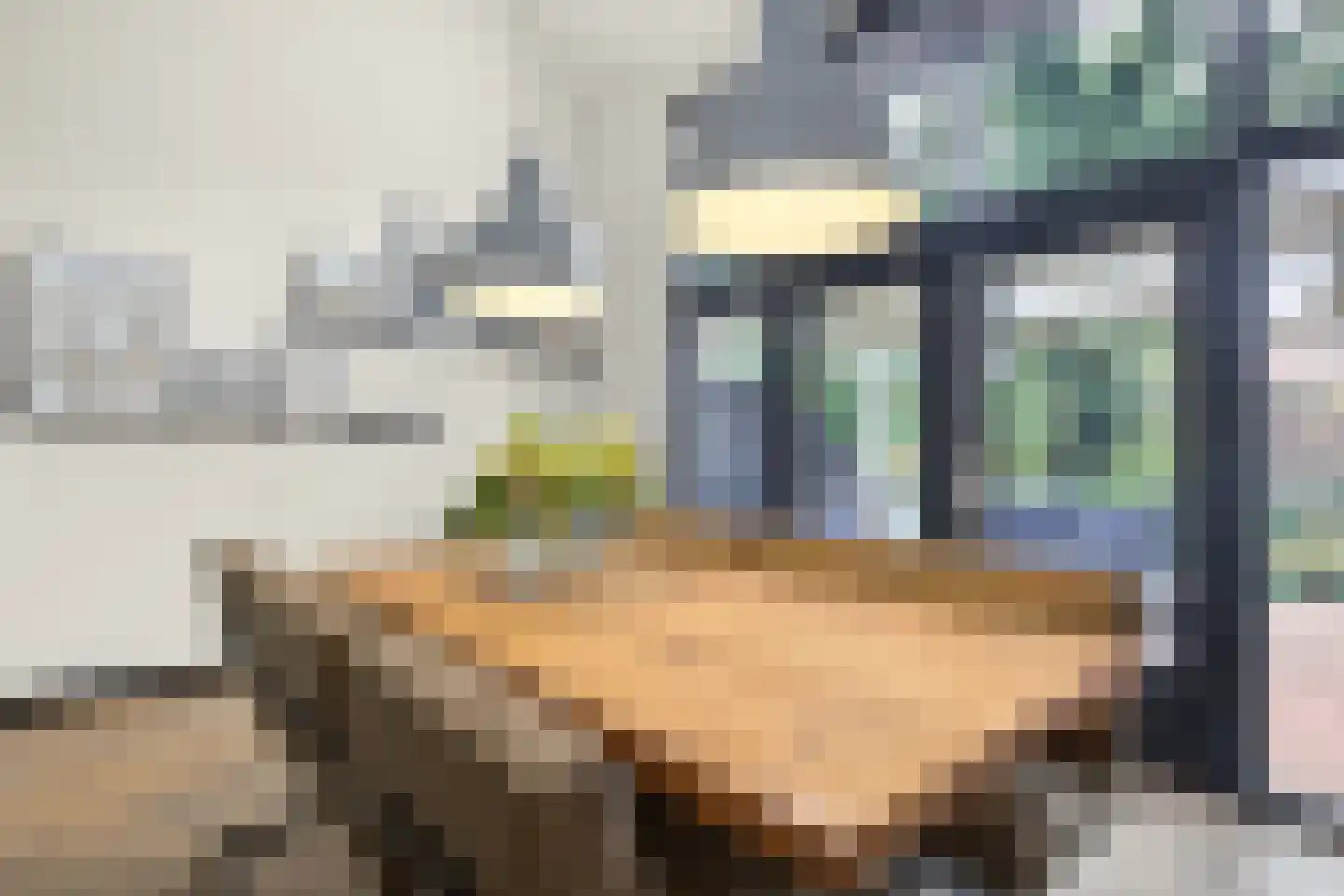 Grote Houtplein 12 Ede thumbnail 7