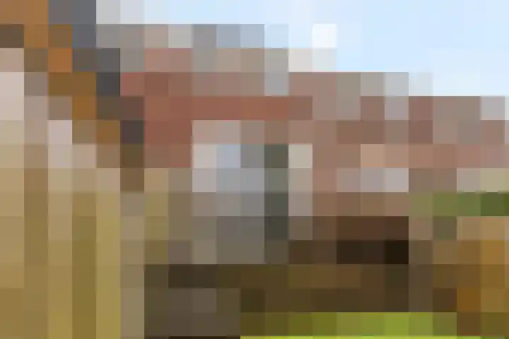 Grote Houtplein 8 Ede thumbnail 32
