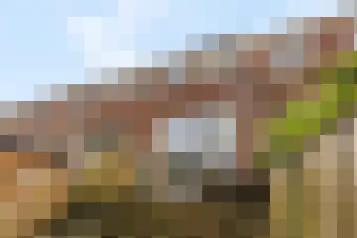 Grote Houtplein 8 Ede thumbnail 33