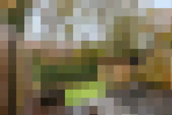 Grote Houtplein 8 Ede thumbnail 36
