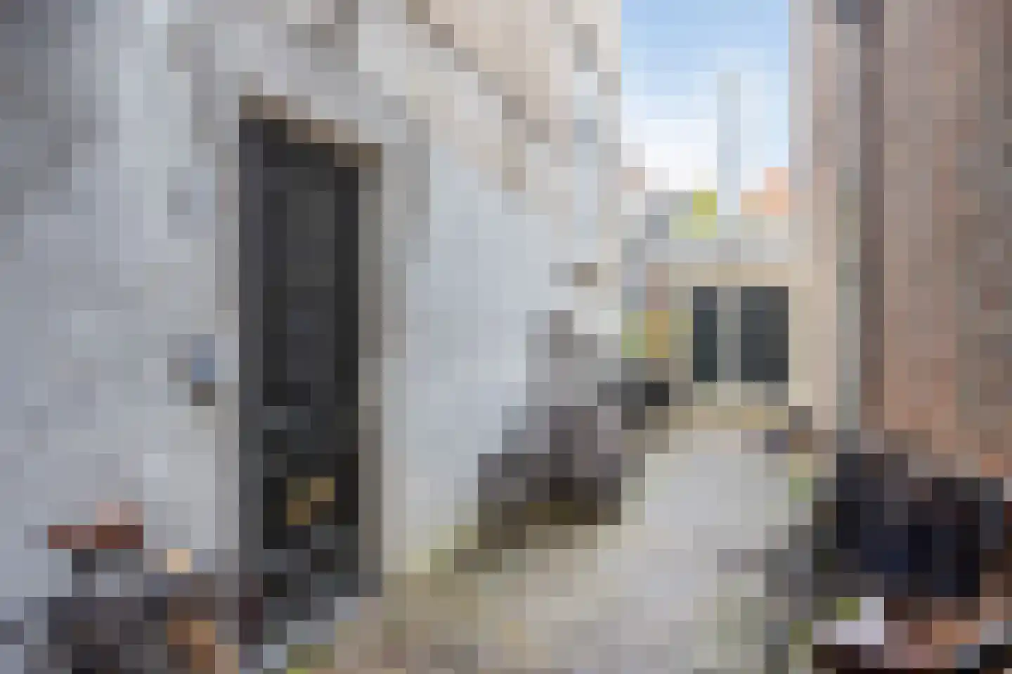 Grote Houtstraat 7 E Haarlem thumbnail 23