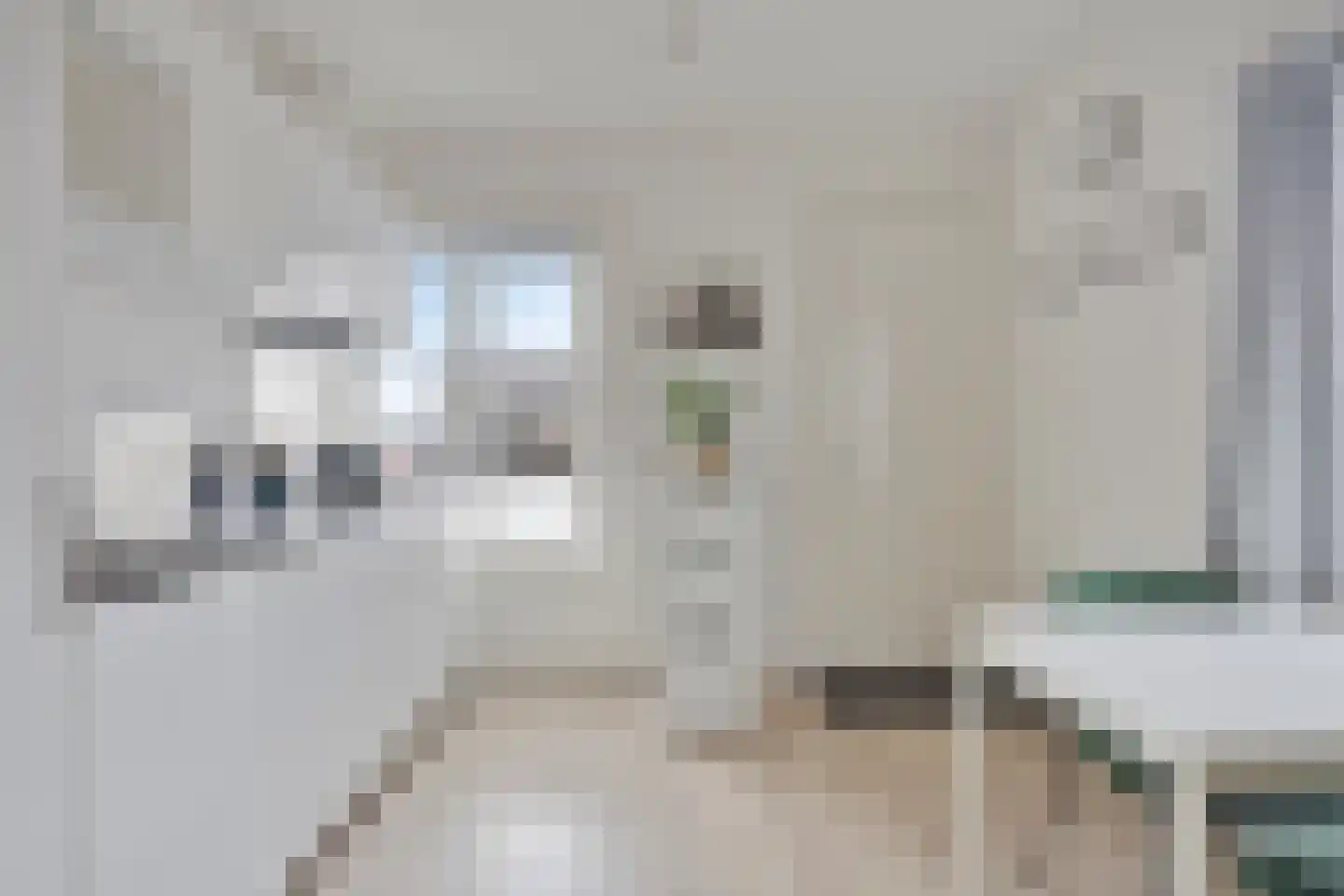 Grote Houtstraat 7 E Haarlem thumbnail 8