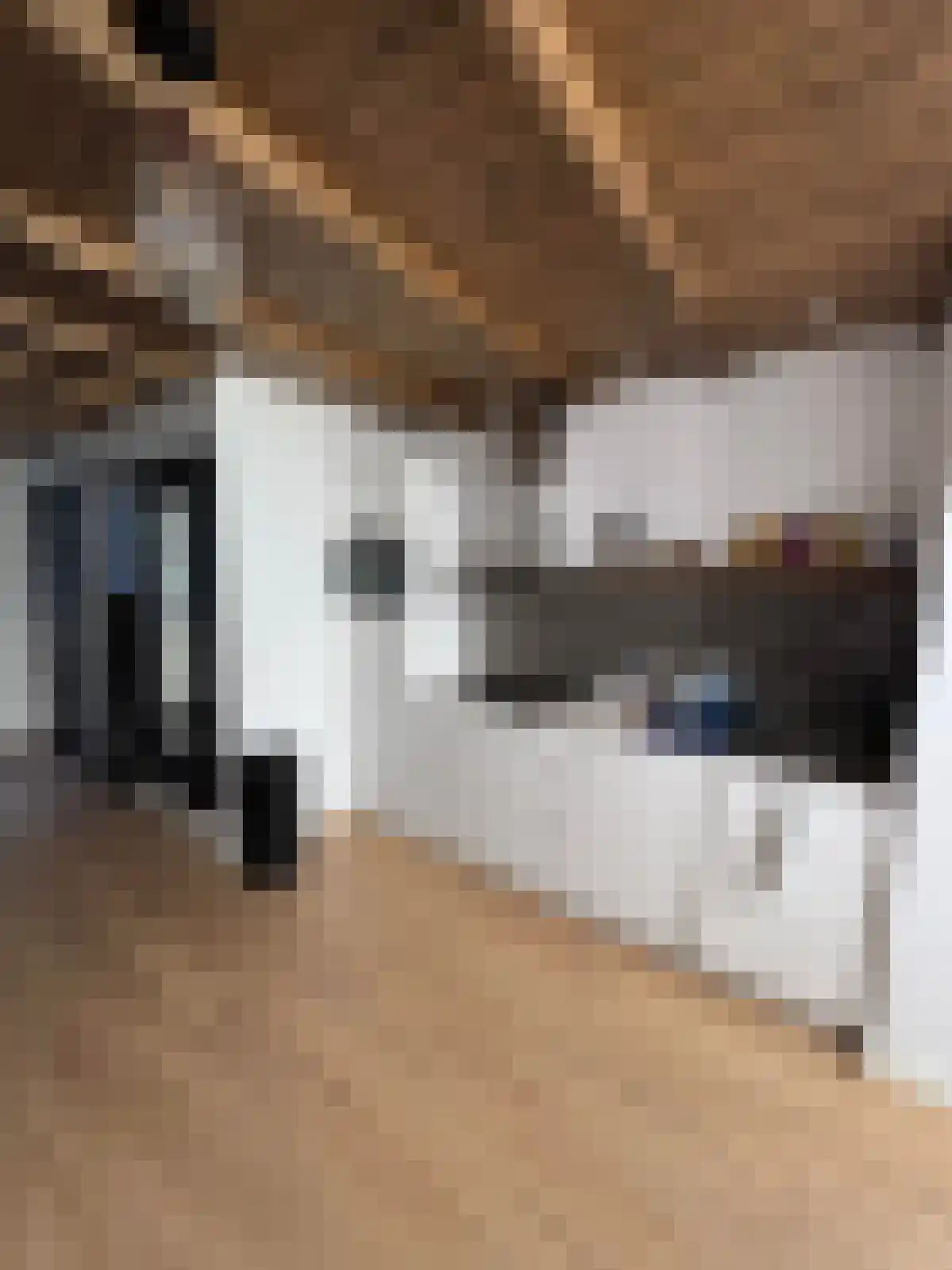 Grote Houtstraat 9 Haarlem thumbnail 6