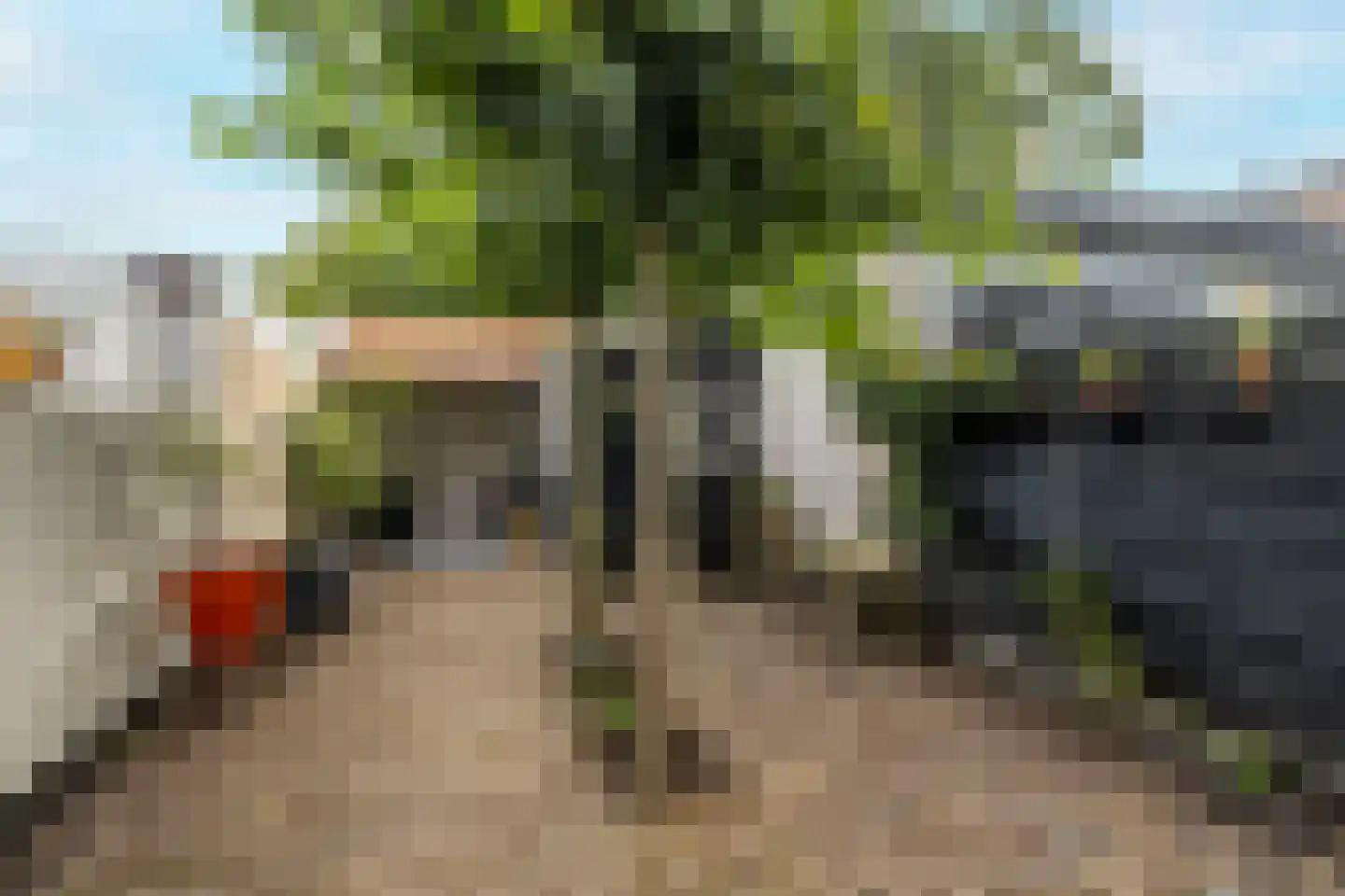 Grote Houtweg 103 Beverwijk thumbnail 14