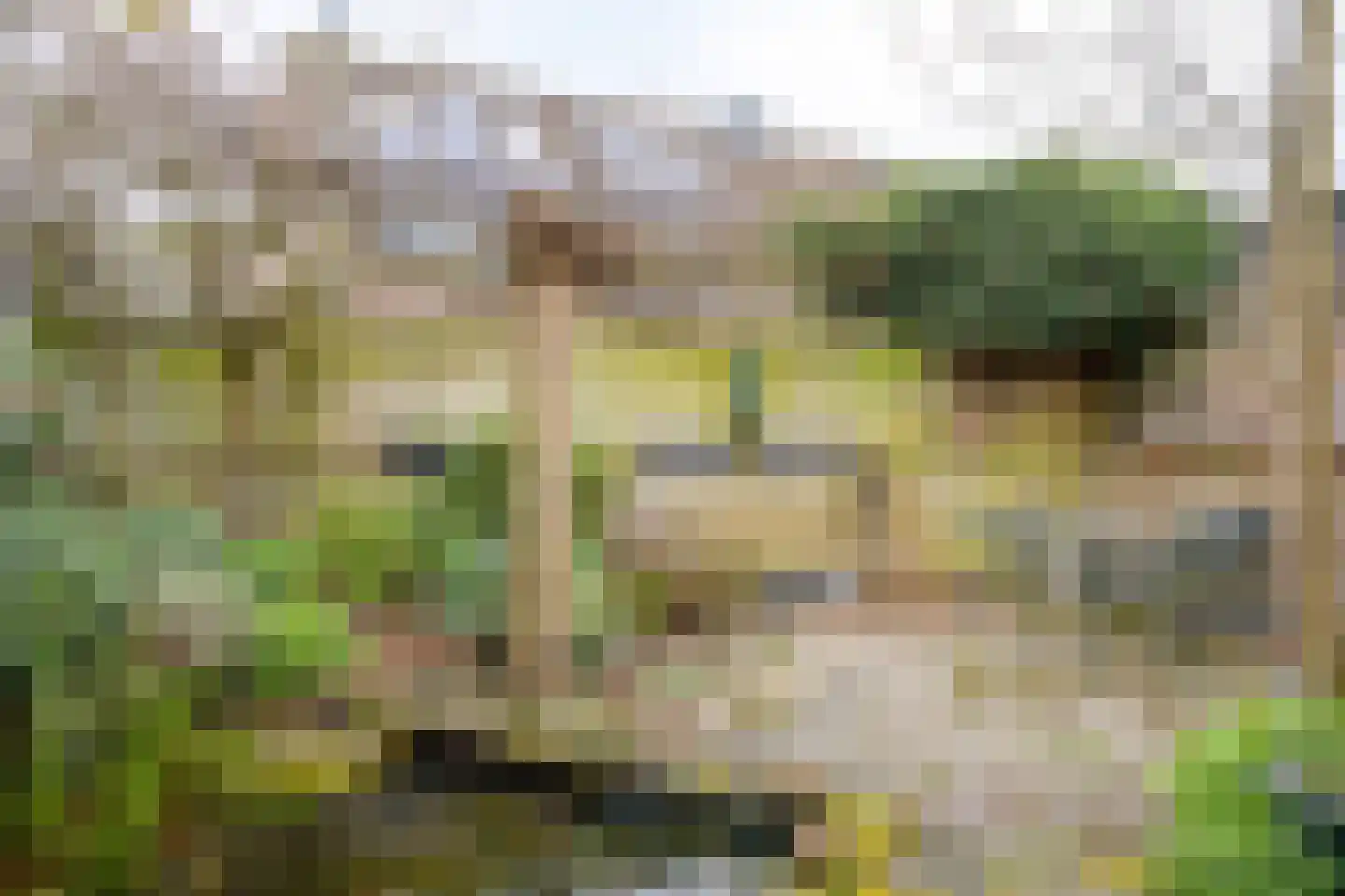 Grote Houtweg 149 Beverwijk thumbnail 25