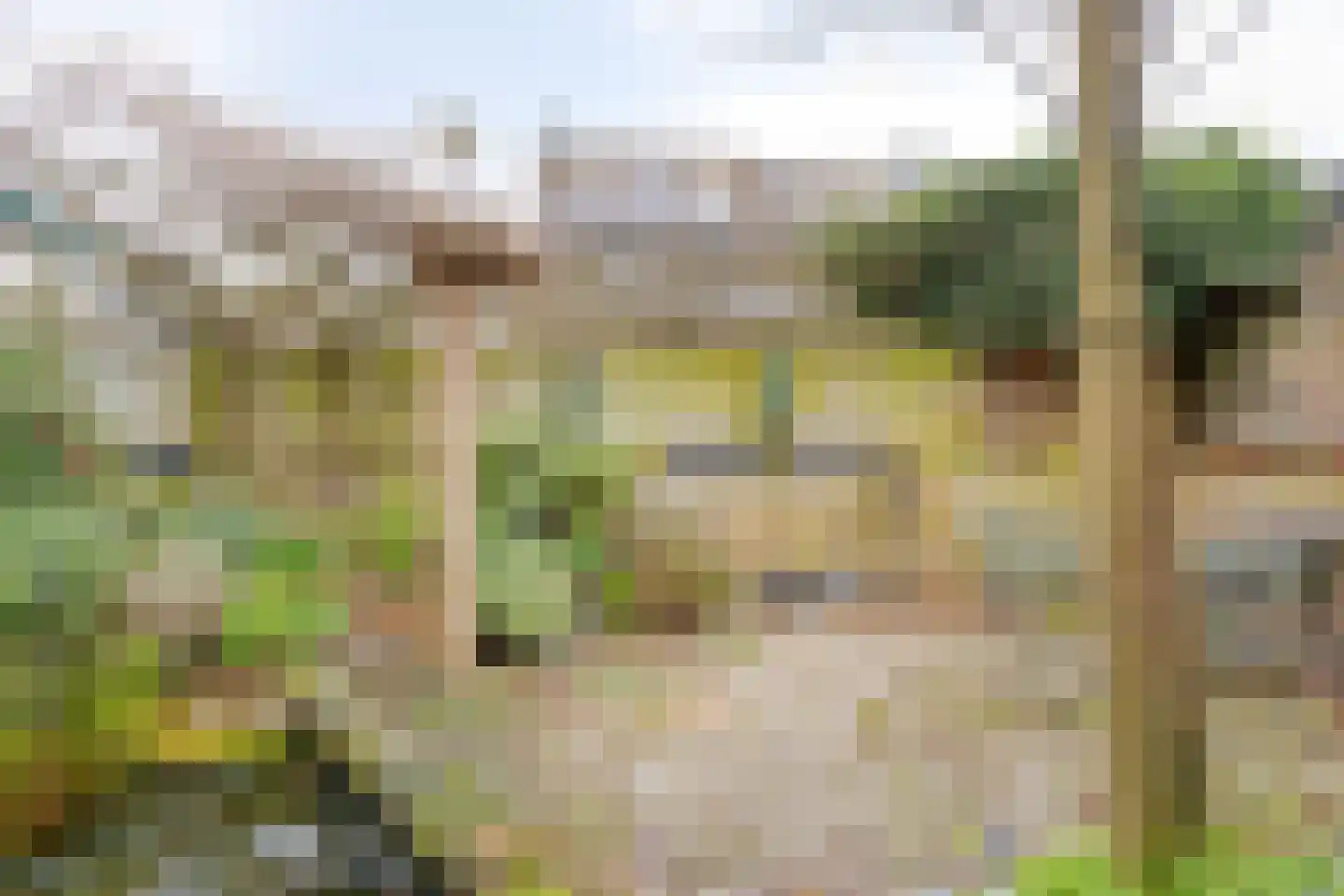 Grote Houtweg 149 Beverwijk thumbnail 26