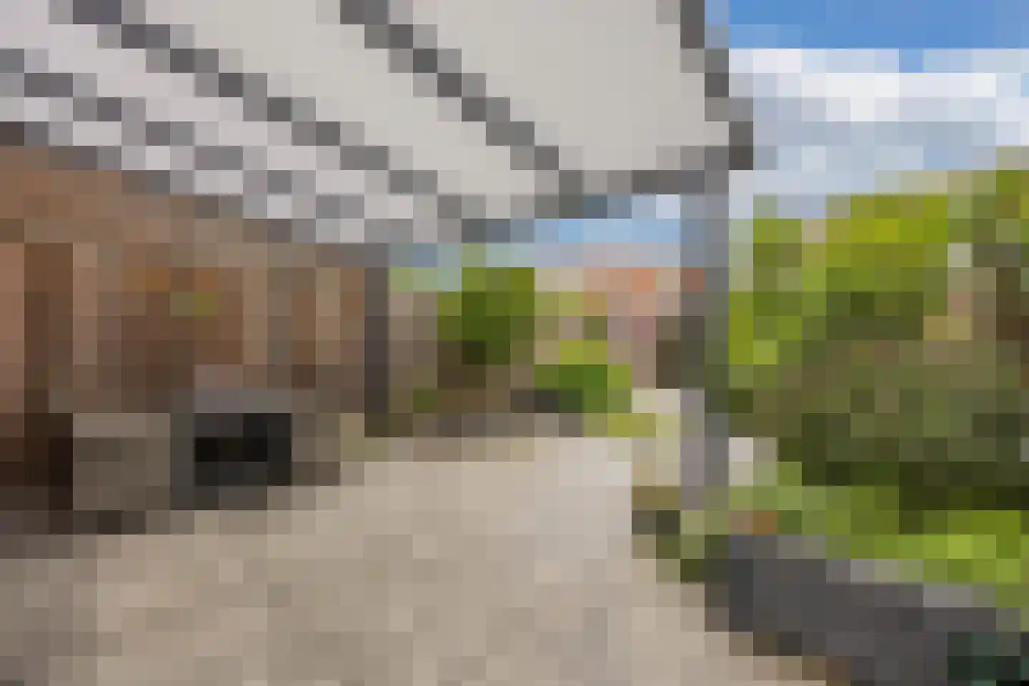 Grote Houtweg 172 Beverwijk thumbnail 32