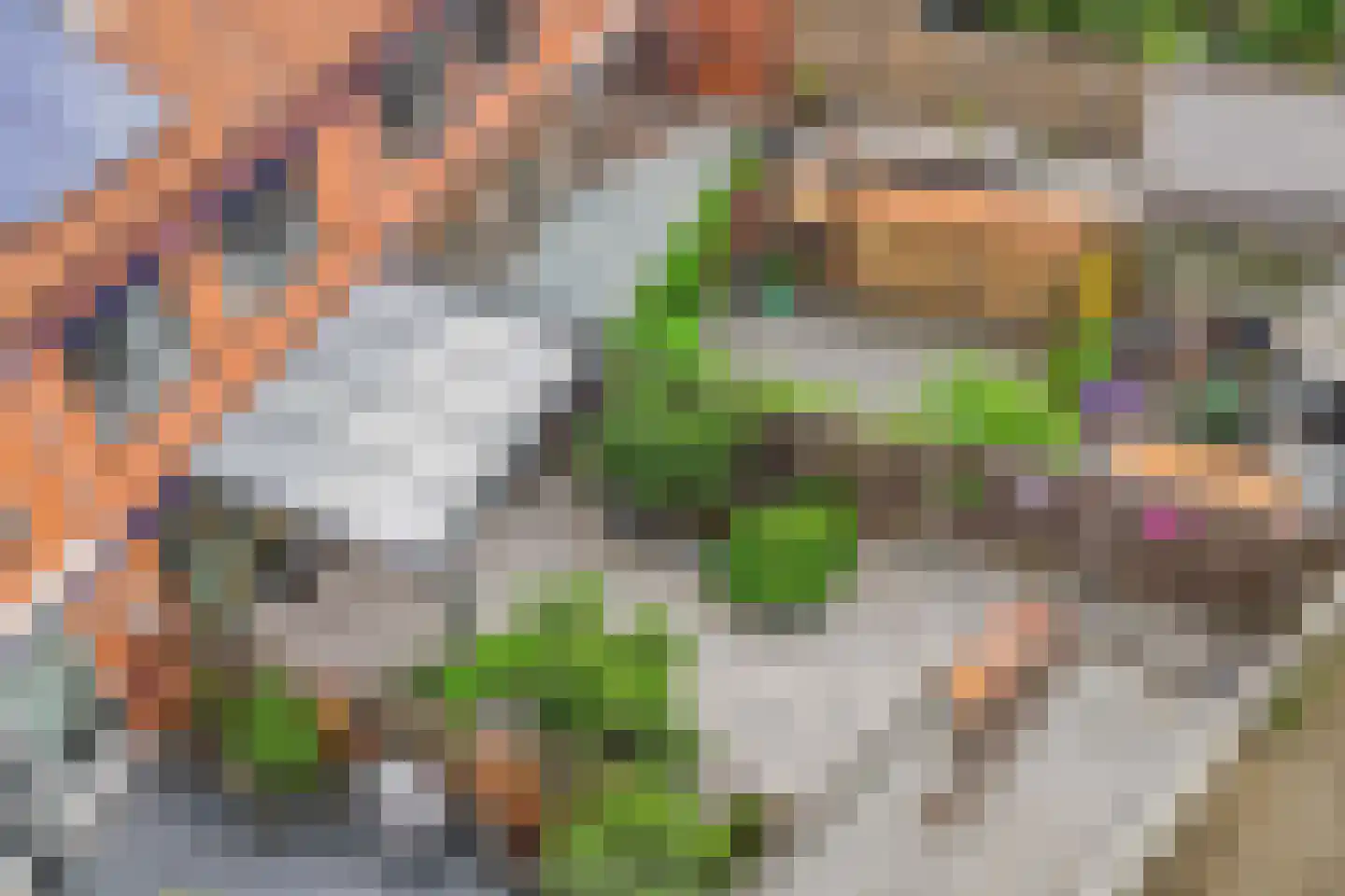 Grote Houtweg 172 Beverwijk thumbnail 40
