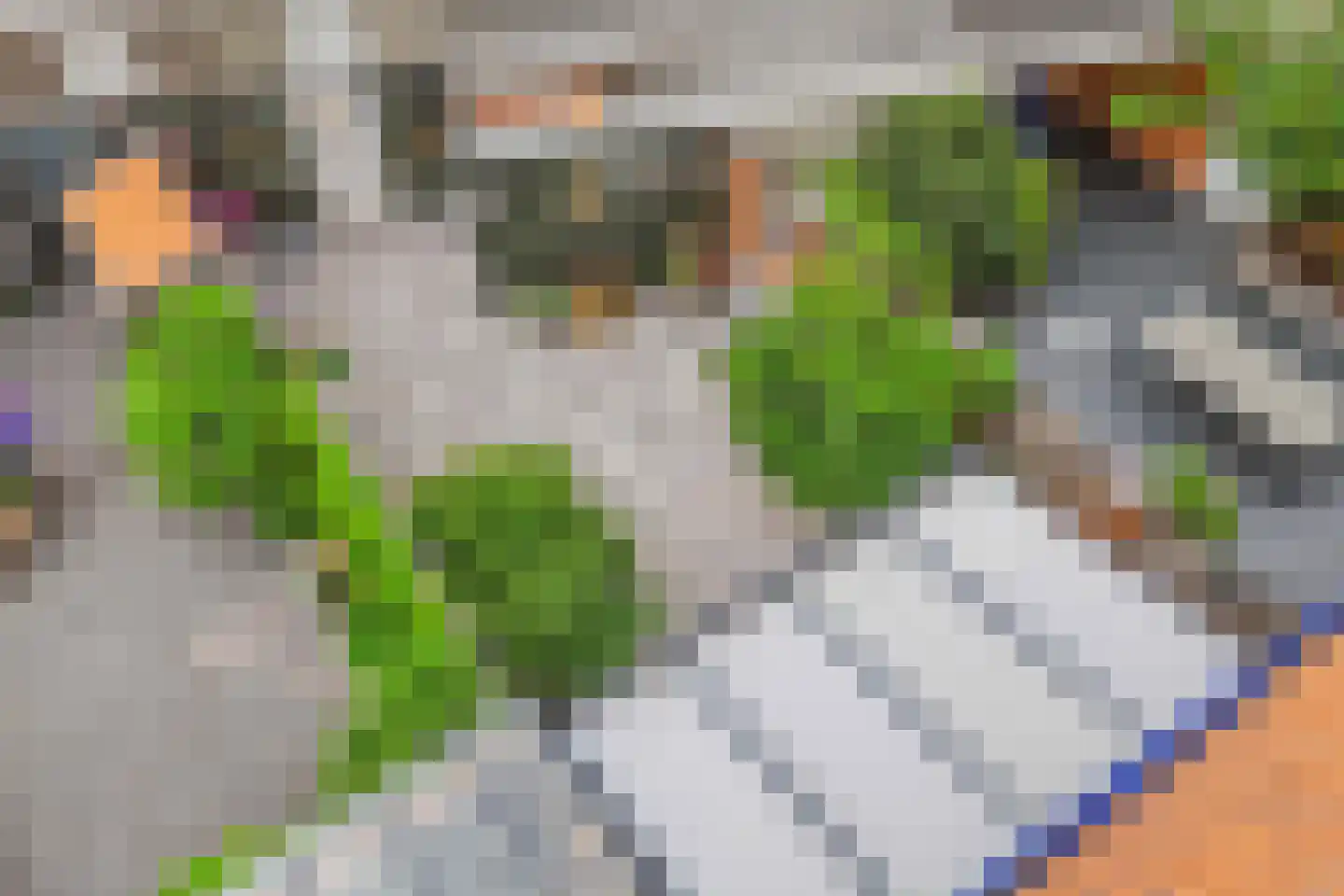 Grote Houtweg 172 Beverwijk thumbnail 42