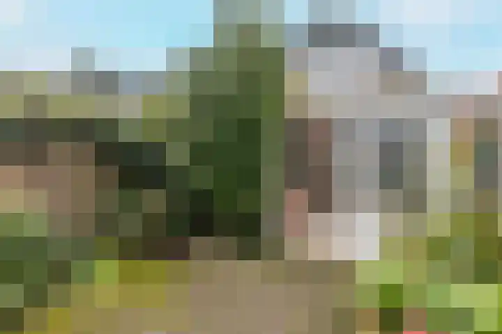 Grote Houtweg 179 Beverwijk thumbnail 18