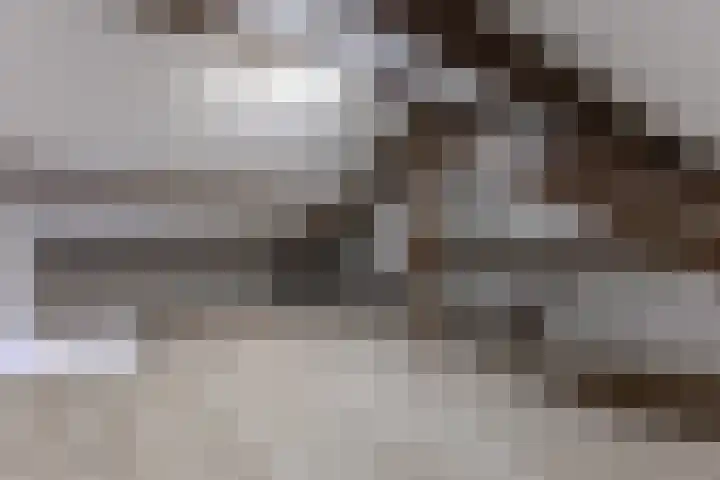 Grote Houtweg 181 Beverwijk thumbnail 31