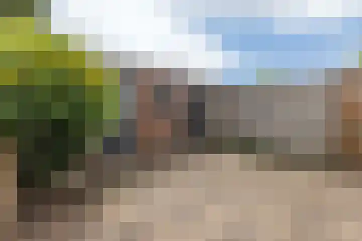 Grote Houtweg 181 Beverwijk thumbnail 32