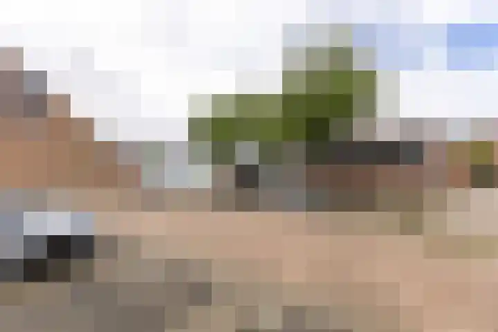 Grote Houtweg 181 Beverwijk thumbnail 38