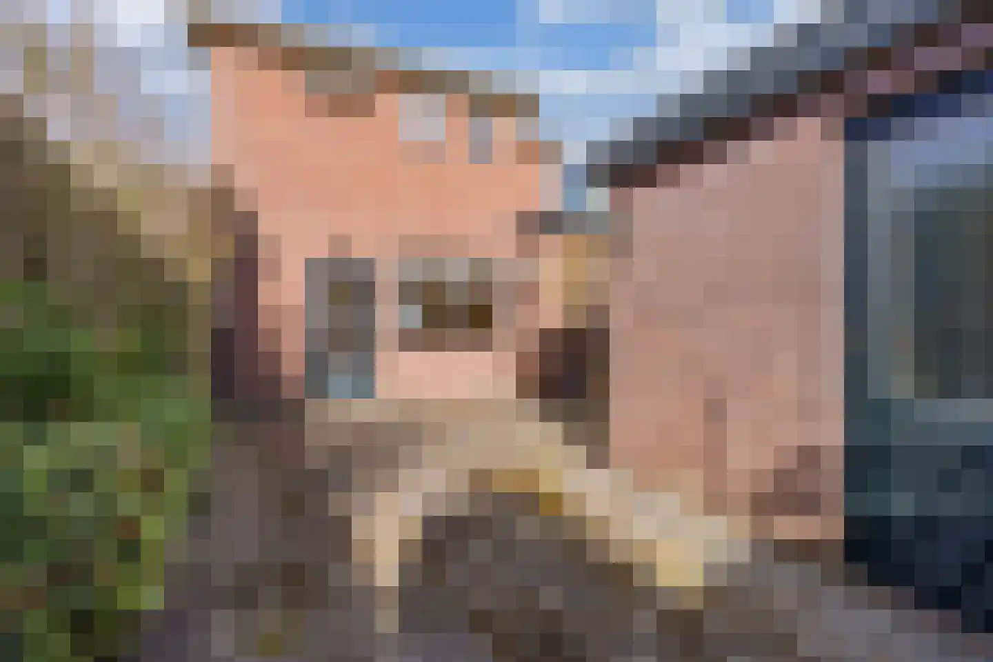 Grote Houtweg 243 Beverwijk thumbnail 24