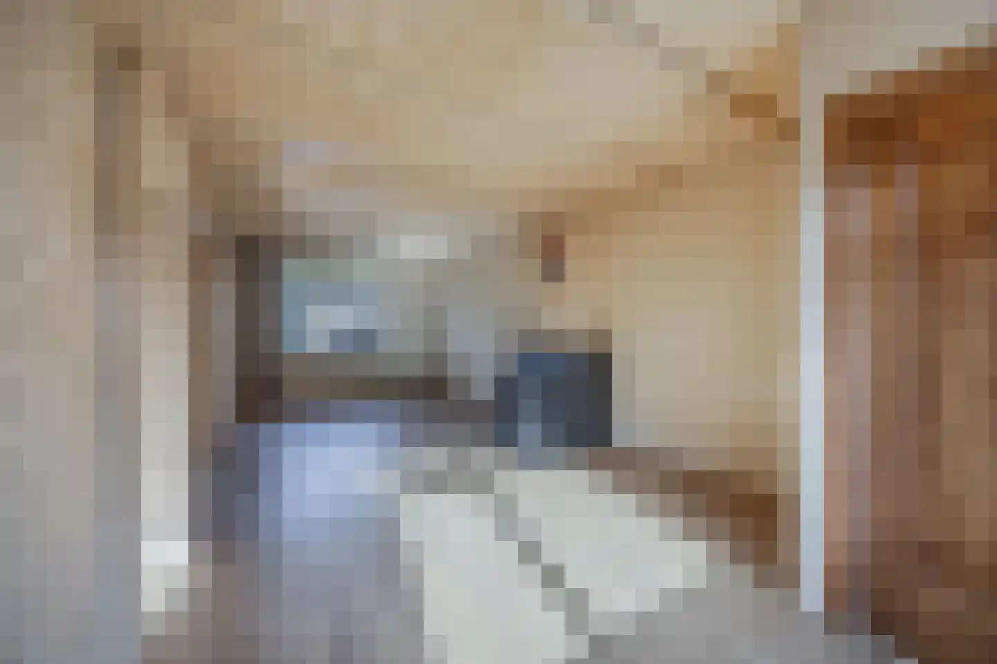 Grote Houtweg 243 Beverwijk thumbnail 7