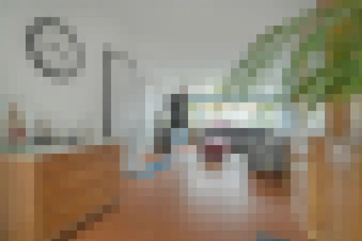 Grote Houw 243 Breda thumbnail 17