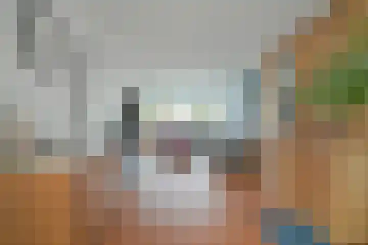 Grote Houw 243 Breda thumbnail 17