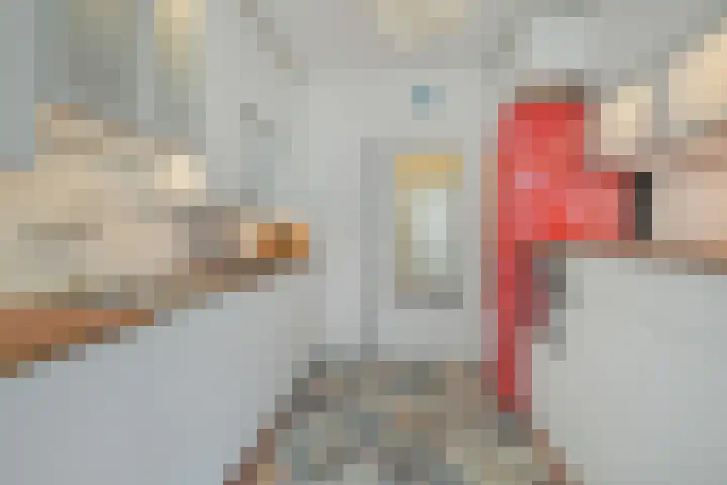 Grote Houw 243 Breda thumbnail 19