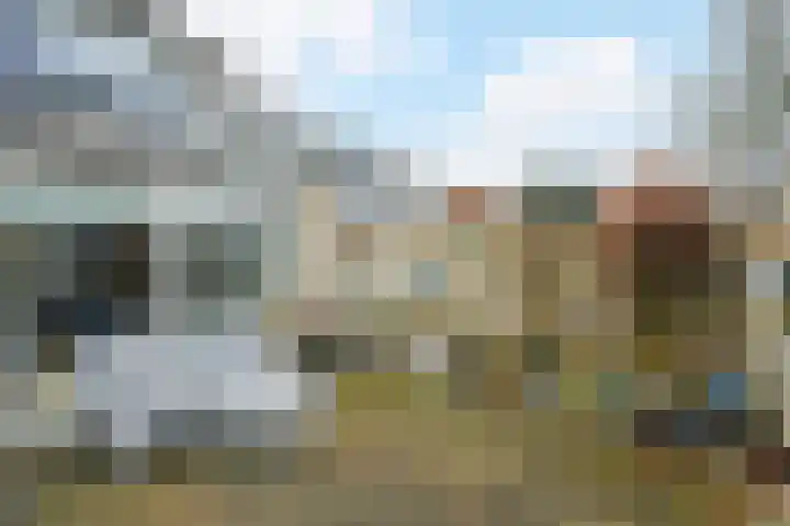 Grote Houw 243 Breda thumbnail 30