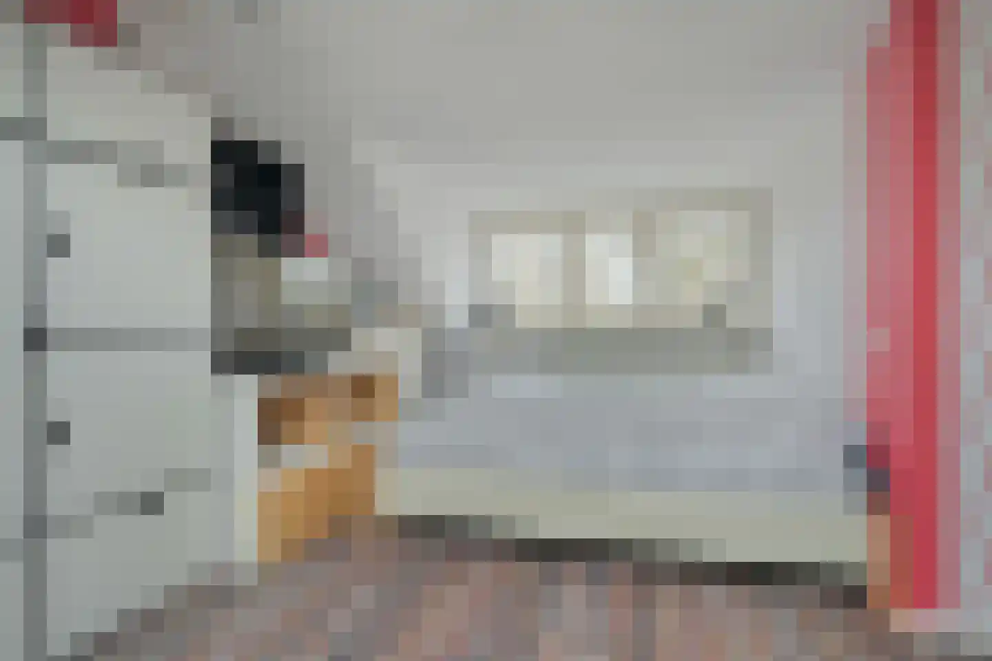 Grote Houw 243 Breda thumbnail 34