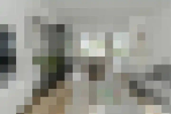 Grote Houw 309 Breda thumbnail 12