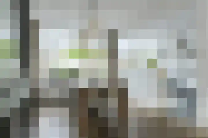 Grote Houw 309 Breda thumbnail 14
