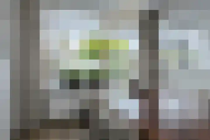 Grote Houw 309 Breda thumbnail 15