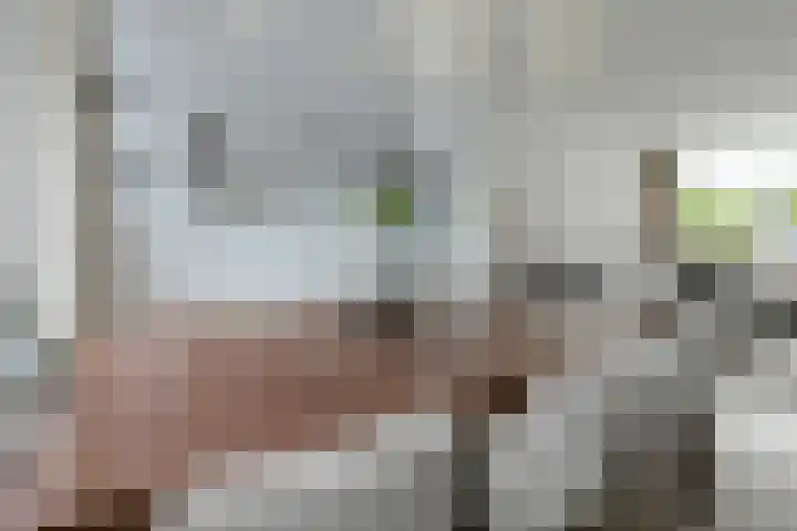 Grote Houw 309 Breda thumbnail 16