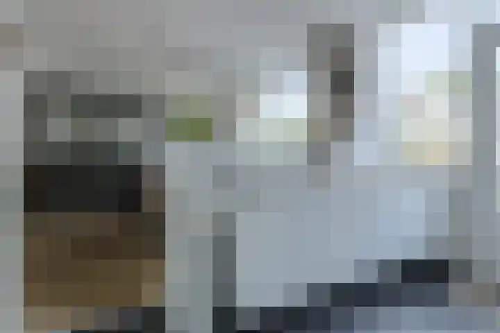 Grote Houw 309 Breda thumbnail 19