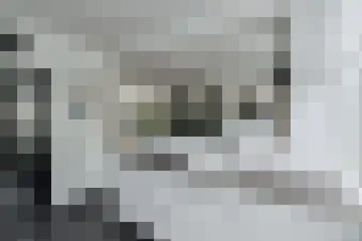 Grote Houw 309 Breda thumbnail 20