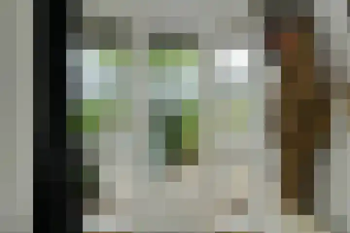 Grote Houw 309 Breda thumbnail 21