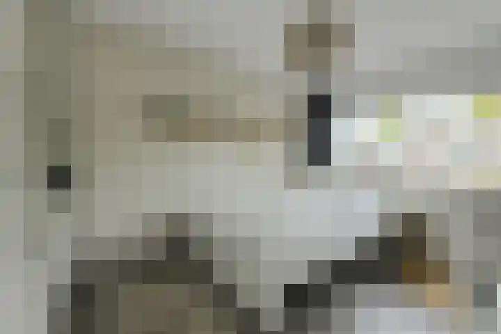 Grote Houw 309 Breda thumbnail 29