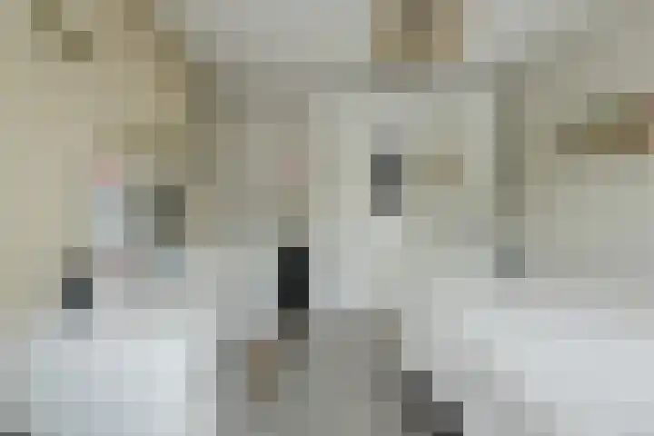 Grote Houw 309 Breda thumbnail 31